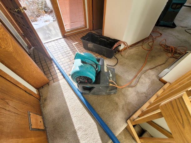 Best Professional water damage repair  in Bargaintown, NJ