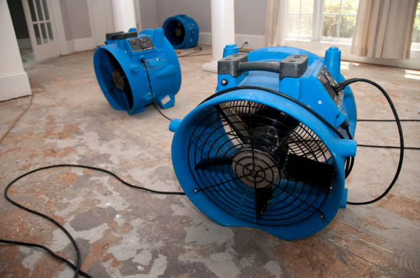 Best Local water damage restoration  in Bargaintown, NJ