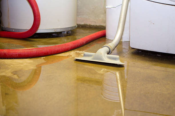 Best Mold removal after water damage  in Bargaintown, NJ